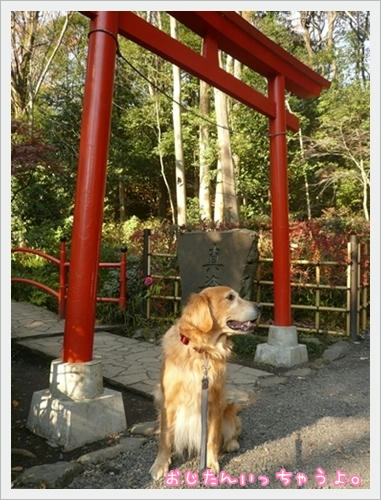 鳥居