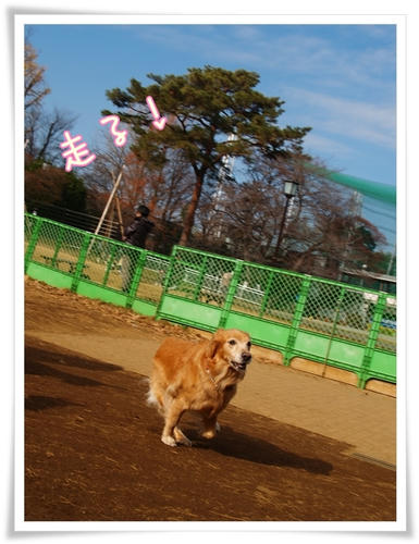 走る！