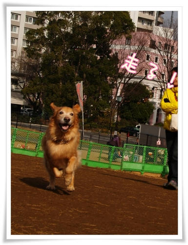 走る！