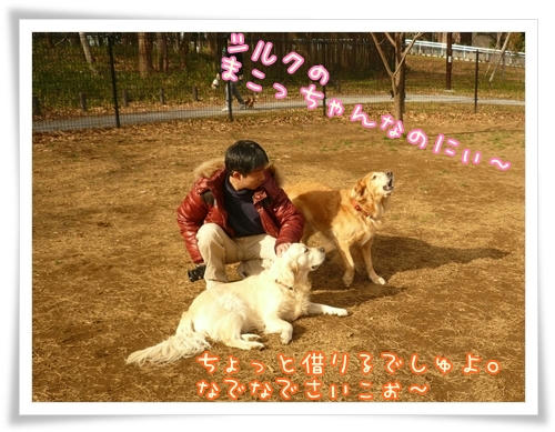 吠える！