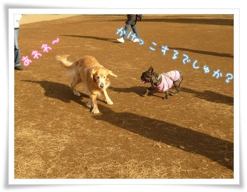 あわわ～