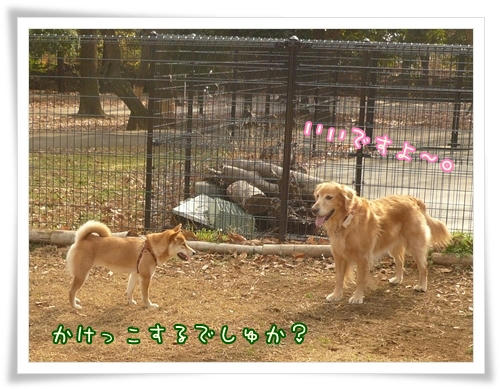 お誘い