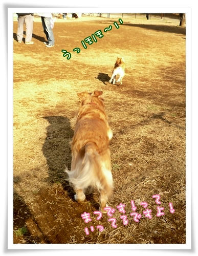 待つです！っていってるですよ！