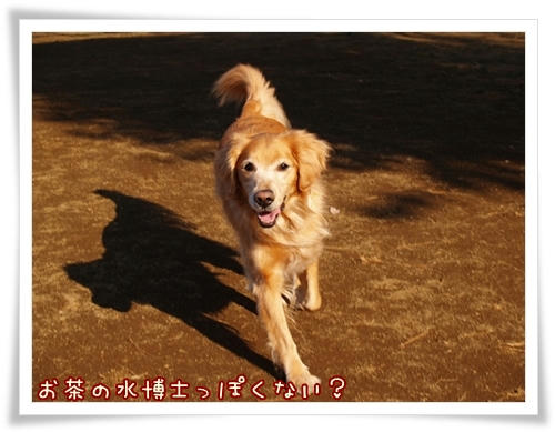 お茶の水博士？