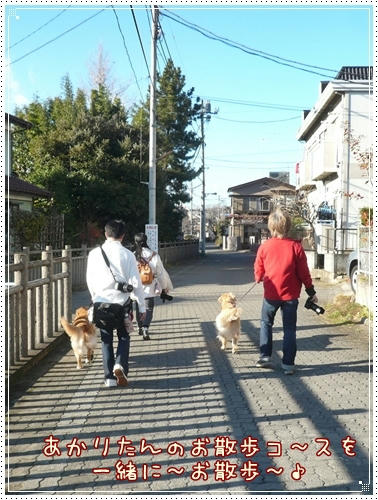 お散歩ルンルン♪