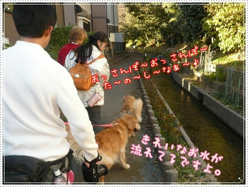 せせらぎ沿いでルンルン♪