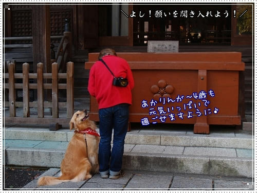 あかりたんお参り中～
