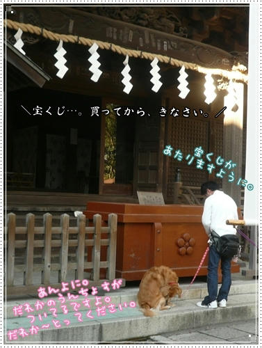 宝くじ？