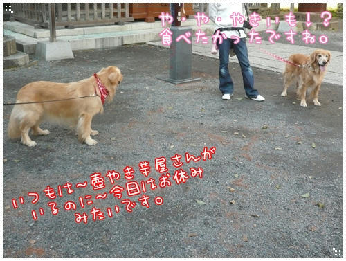 やきいもやさん？