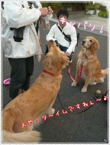 うまうま～た～いむ