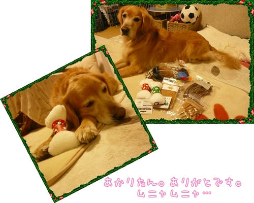 あかりたんありがとです。