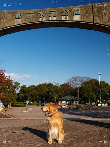 水元公園