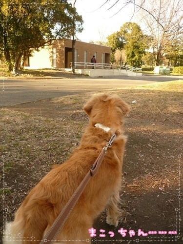 まこっちゃん・・・。
