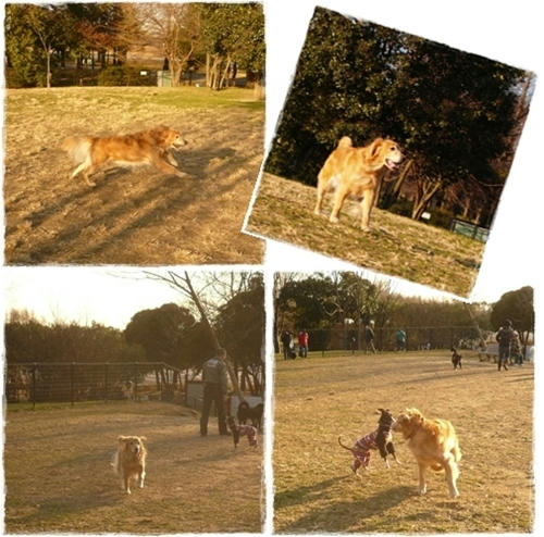 ランでランラン♪