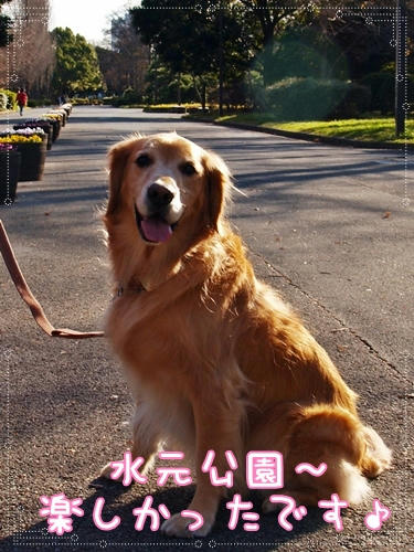 楽しかったです♪