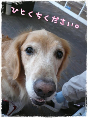 ひとくちください。