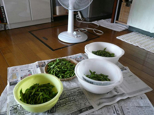 img20080902155846011.jpg