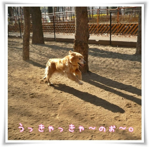 うっきゃっきゃ～のぉ～
