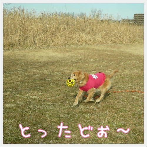 とったどぉ～