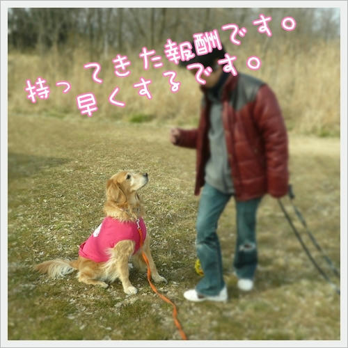 報酬