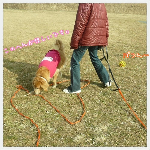 このへんが怪しいです。