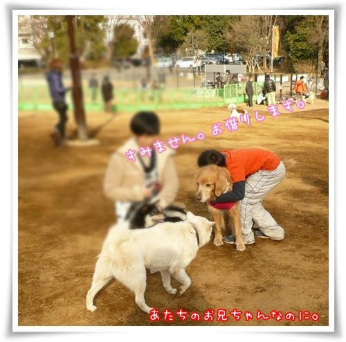 あたちのお兄ちゃんなのに