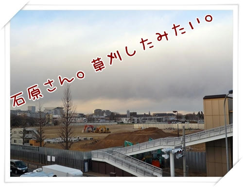 草刈りしたみたいよ。