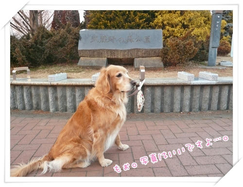 むさしののもりこうえん