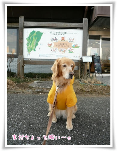 小峰公園