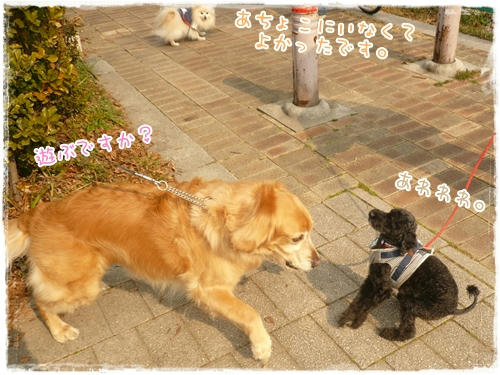 遊ぶですか？