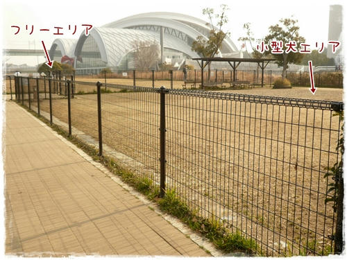 ランラン