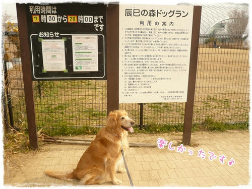 楽しかったです♪