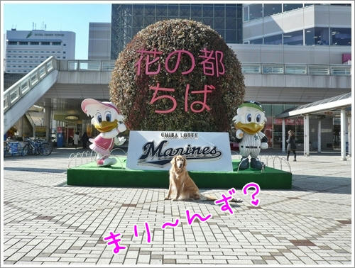 まり～んず？