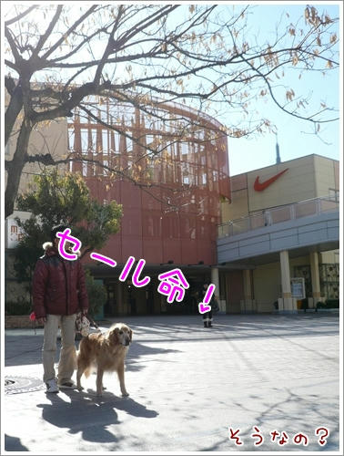 セール命！