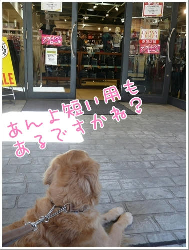 短いのもあるですか？