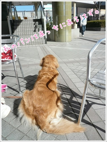 あっちにあるはず。