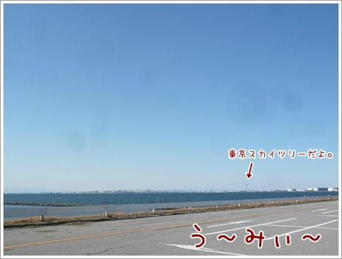 う~みぃ~