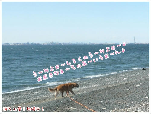 うみそのあい！
