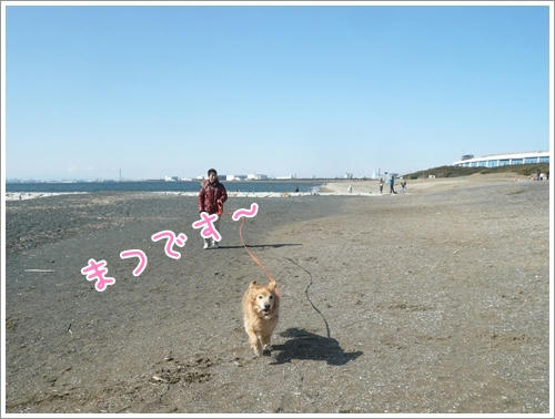 まつです～