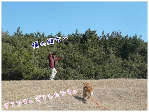 ずる。