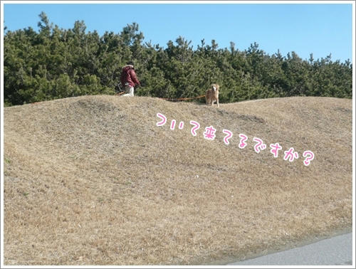 うん。ついてってる。