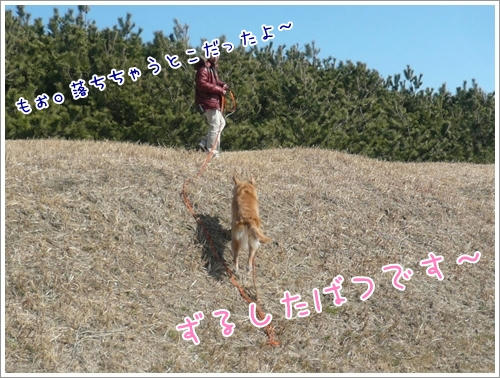 てんばつだそうで。