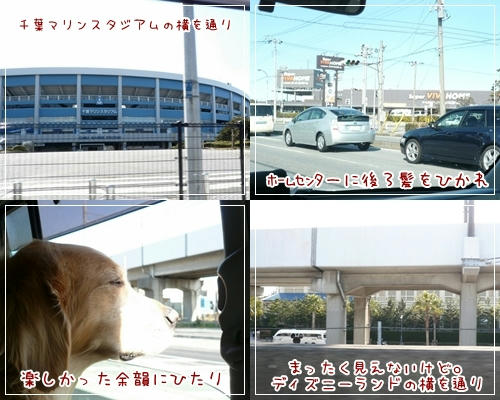 帰り道