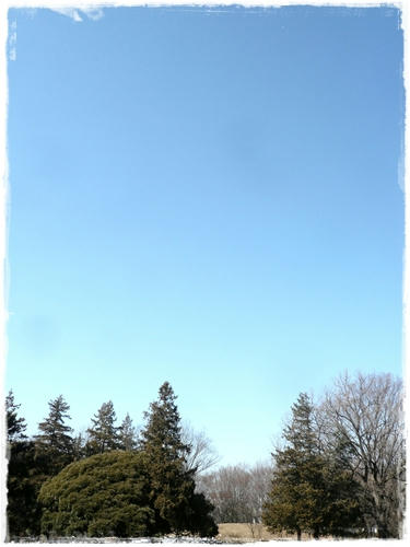 青空