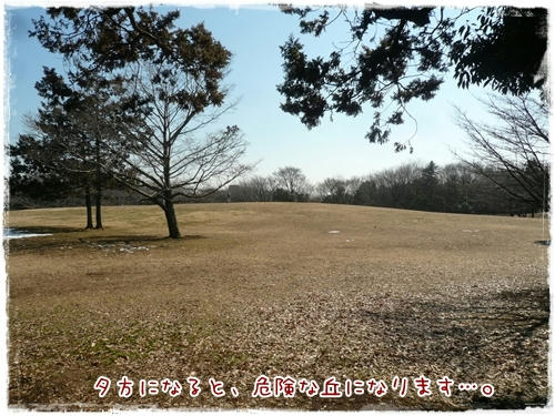 芝生の丘