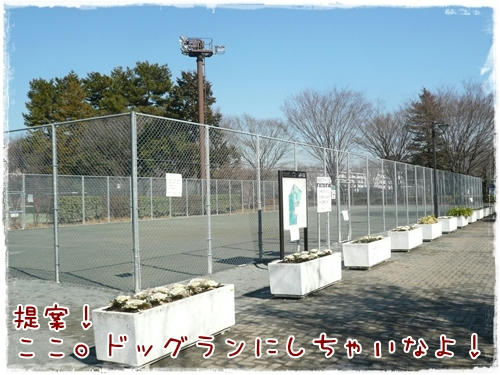 しちゃいなよ！