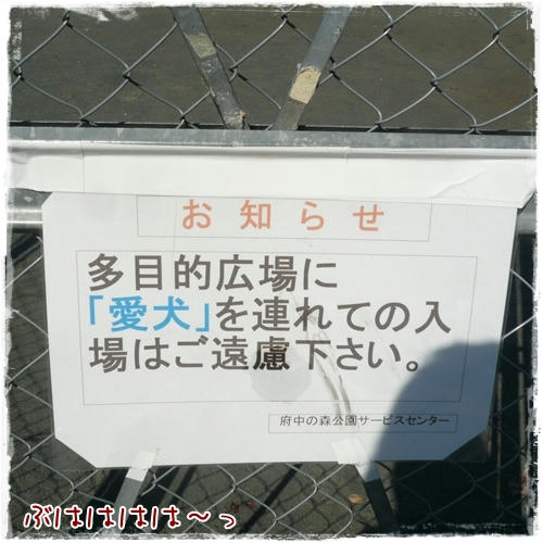現状は