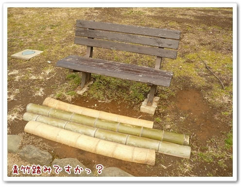 あおだけふみ？