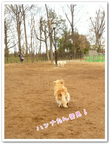 発見
