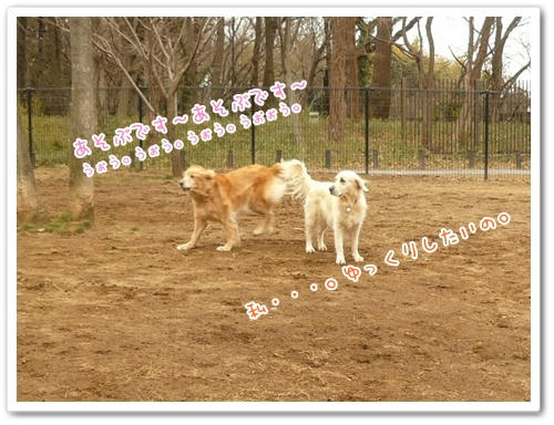 うぉう。うぉう。